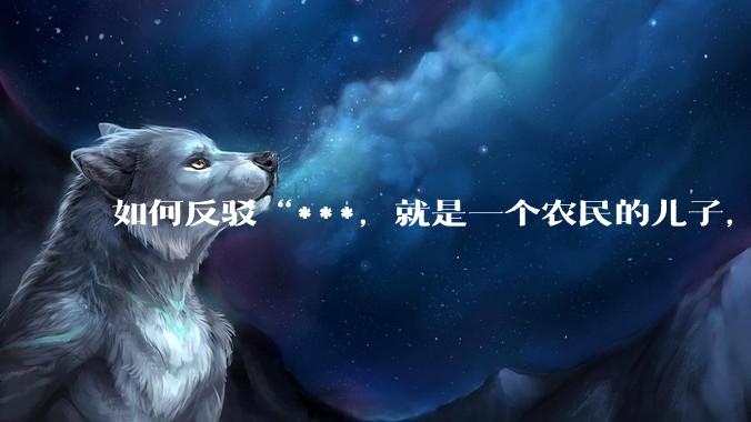 如何反驳“***，就是一个农民的儿子，不远万里去杀掉素不相识的另一个农民儿子。”这句话？