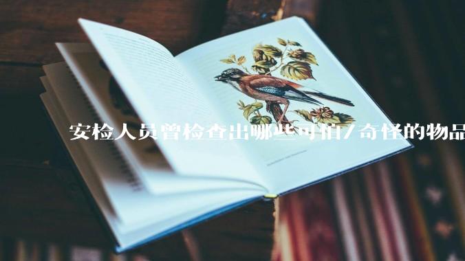 安检人员曾检查出哪些可怕/奇怪的物品？