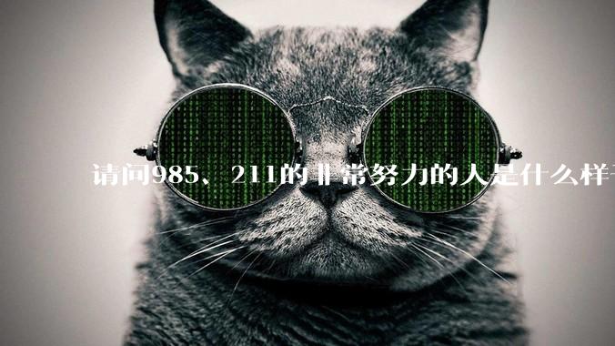 请问985、211的非常努力的人是什么样子的？