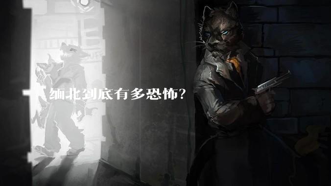 缅北到底有多恐怖？